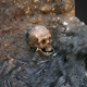Illustration for article titled Take a 3D Tour of Richard IIIs Grave